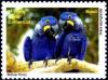 Colnect-4064-693-Hyazinth-Macaw-Anodorhynchus-hyacinthinus.jpg