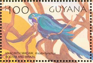 Colnect-1664-616-Hyazinth-Macaw-Anodorhynchus-hyacinthinus.jpg