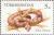 Stamps_of_Turkmenistan%2C_1994_-_Saw-scaled_viper_%28Echus_carinatus%29.jpg
