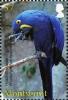 Colnect-1524-205-Hyazinth-Macaw-Anodorhynchus-hyacinthinus.jpg