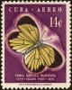 Colnect-4828-690-Fairy-Yellow-Eurema-daira-ssp-ebriola.jpg