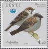 Colnect-6022-372-Eurasian-Tree-Sparrow-Passer-montanus-House-Sparrow-Pass.jpg