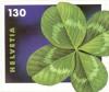 Colnect-528-252-Lucky-Clover-Oxalis-tetraphylla-syn-deppei.jpg