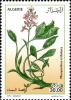 Colnect-1699-056-Menyanthes-trifoliatra.jpg