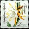 Colnect-357-574-Epiphyllum-hybrid--quot-Franziska-quot-.jpg
