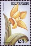 Colnect-3188-445-Lycaste-aromatica.jpg