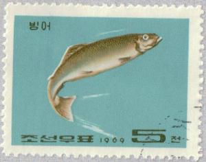 Colnect-2616-840-Yellowtail-fish.jpg