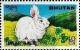 Colnect-3376-363-Year-of-the-Hare.jpg
