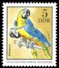 Colnect-1979-673-Blue-and-yellow-Macaw-Ara-ararauna.jpg