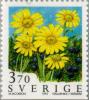 Colnect-164-856-Alpine-arnica-yellow-flowers-and-crowberry.jpg