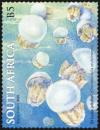 Colnect-5423-391-St-Lucia-Jellyfish-Crambionella-stuhlmanni.jpg