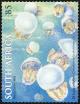 Colnect-5423-391-St-Lucia-Jellyfish-Crambionella-stuhlmanni.jpg