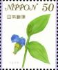 Colnect-3048-978-Asiatic-Dayflower-Commelina-communis.jpg