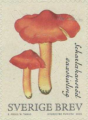 Colnect-2981-054-Hygrocybe-punicea.jpg