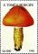 Colnect-1045-964-Hygrocybe-punicea.jpg