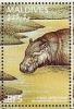 Colnect-4917-154-Pygmy-hippopotamus.jpg