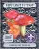 Colnect-5604-584-Hygrocybe-punicea.jpg