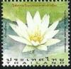 Colnect-3414-613-Nymphaea-stellata.jpg