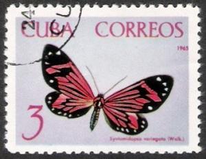 Colnect-1326-281-Moth-Syntomidopsis-variegata.jpg