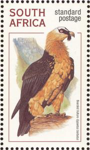 Bearded-Vulture-Gypaetus-barbatus.jpg