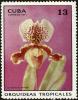 Colnect-4828-584-Cypripedium-mowgh.jpg