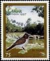 Colnect-2450-775-Giant-Kingbird-Tyrannus-cubensis-San-Juan-River.jpg