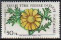 Colnect-1687-403-Chrysanthemum-segetum.jpg