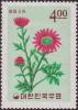 Colnect-2334-484-Chrysanthemum-lucidum.jpg