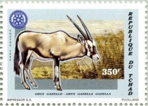 Colnect-4043-675-Oryx-gazella-gazella.jpg