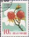 Colnect-1907-948-Raspberry---Rubus-crataegifolius.jpg