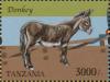 Colnect-3055-704-Donkey-Equus-asinus-asinus.jpg