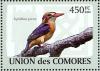 Colnect-3669-393-African-Pygmy-Kingfisher-Ispidina-picta.jpg