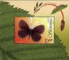 Colnect-710-460-Fauna---Butterfly---Lorkovic--s-Brassy-Ringlet.jpg