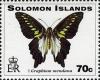 Swallowtail-Butterfly-Graphium-mendana.jpg
