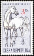 Colnect-430-662-White-Kladruby-Horse-Equus-ferus-caballus.jpg