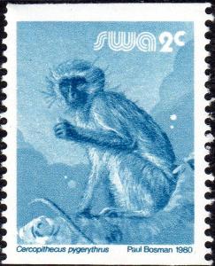 Colnect-4537-733-Vervet-Monkey-Cercopithecus-pygerthyrus.jpg