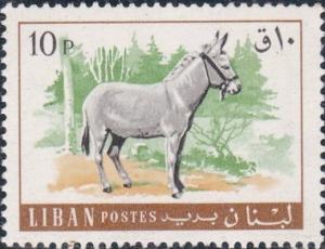 Colnect-1247-865-Donkey-Equus-asinus-asinus.jpg