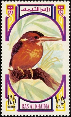 Colnect-1656-973-African-Pygmy-Kingfisher-Ispidina-picta.jpg