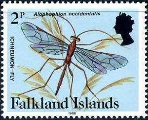 Colnect-1674-571-Ichneumon-Fly-Alophophion-occidentalis-.jpg