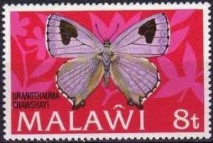 Colnect-1732-840-Butterfly-Uranothauma-crawshayi.jpg