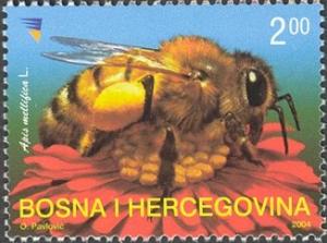 Colnect-3831-891-Honey-Bee-Apis-mellifica.jpg