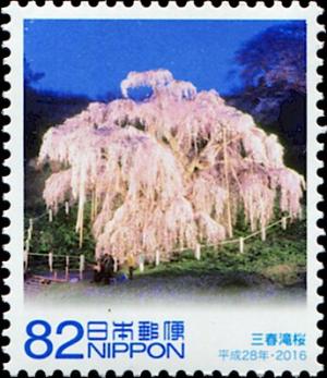 Colnect-5561-363-Waterfall-Cherry-Tree-Miharu-Miharu-Takizakura.jpg
