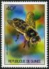 Colnect-2187-338-Honey-Bee-Apis-mellifica.jpg