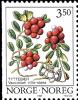 Colnect-5485-078-Cowberry-Vaccinium-vitis-idaea.jpg