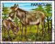 Colnect-2280-938-Donkey-Equus-asinus-asinus.jpg