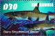 Colnect-4674-226-Starry-smoothhound-sharks.jpg