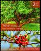 Colnect-5405-819-Strawberry-Tree-Arbutus-andrachne.jpg