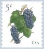 Colnect-3348-039-Grapes.jpg