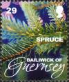 Colnect-4163-103-Spruce.jpg