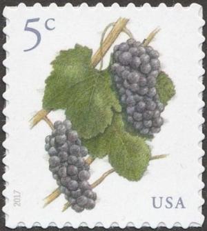 Colnect-3880-176-Grapes.jpg